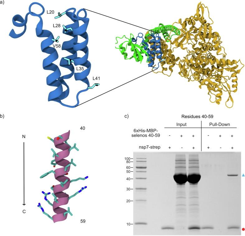 https://cdn.ncbi.nlm.nih.gov/pmc/blobs/7f2e/9911985/cd3daf6bdf94/gr3_lrg.jpg