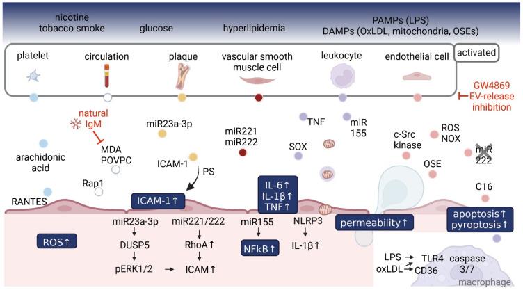 https://cdn.ncbi.nlm.nih.gov/pmc/blobs/7f2f/11439751/78e978ee8c55/jla-13-232-g003.jpg