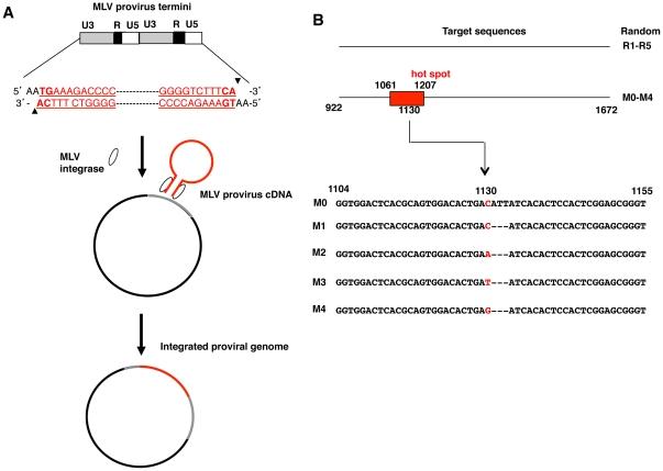 https://cdn.ncbi.nlm.nih.gov/pmc/blobs/7f2f/3279379/923e6b21a6cb/pone.0031533.g001.jpg
