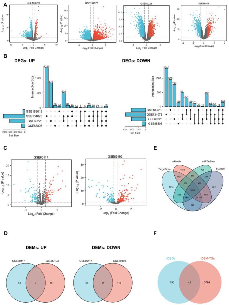 https://cdn.ncbi.nlm.nih.gov/pmc/blobs/7f30/10779070/125cd6983fff/ijms-25-00489-g001.jpg