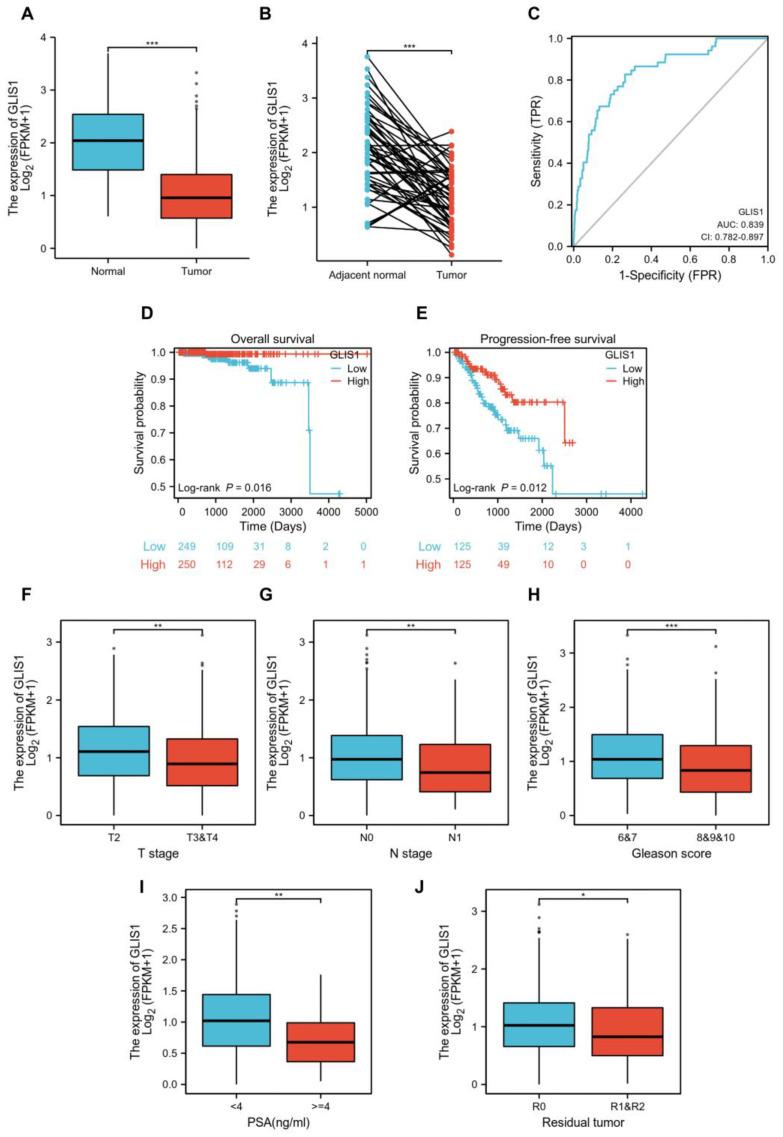 https://cdn.ncbi.nlm.nih.gov/pmc/blobs/7f30/10779070/ae857dba9ad7/ijms-25-00489-g003.jpg