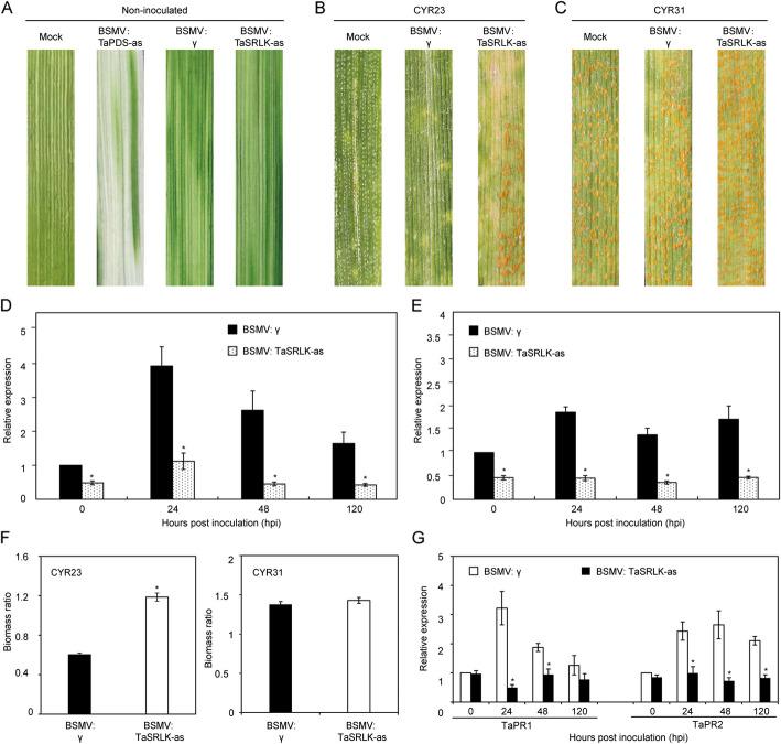 https://cdn.ncbi.nlm.nih.gov/pmc/blobs/7f31/12102409/4d7ef37e406a/44154_2025_225_Fig2_HTML.jpg