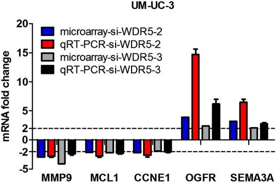 https://cdn.ncbi.nlm.nih.gov/pmc/blobs/7f32/4583625/4bce20e991dc/gr3.jpg