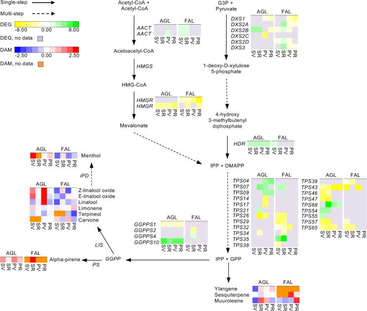 https://cdn.ncbi.nlm.nih.gov/pmc/blobs/7f33/10163809/abd7b587c16d/12870_2023_4251_Fig1_HTML.jpg