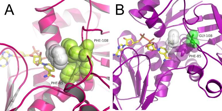 https://cdn.ncbi.nlm.nih.gov/pmc/blobs/7f33/5708825/38d597e8b94a/pone.0187482.g005.jpg