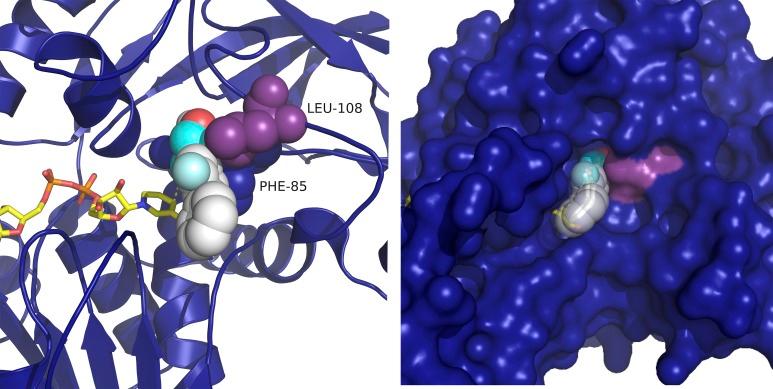 https://cdn.ncbi.nlm.nih.gov/pmc/blobs/7f33/5708825/c1964bfed06c/pone.0187482.g003.jpg