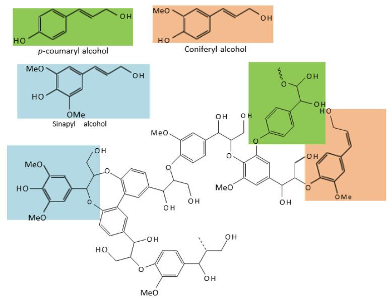 https://cdn.ncbi.nlm.nih.gov/pmc/blobs/7f34/10341316/e25e296106b3/foods-12-02473-g005.jpg