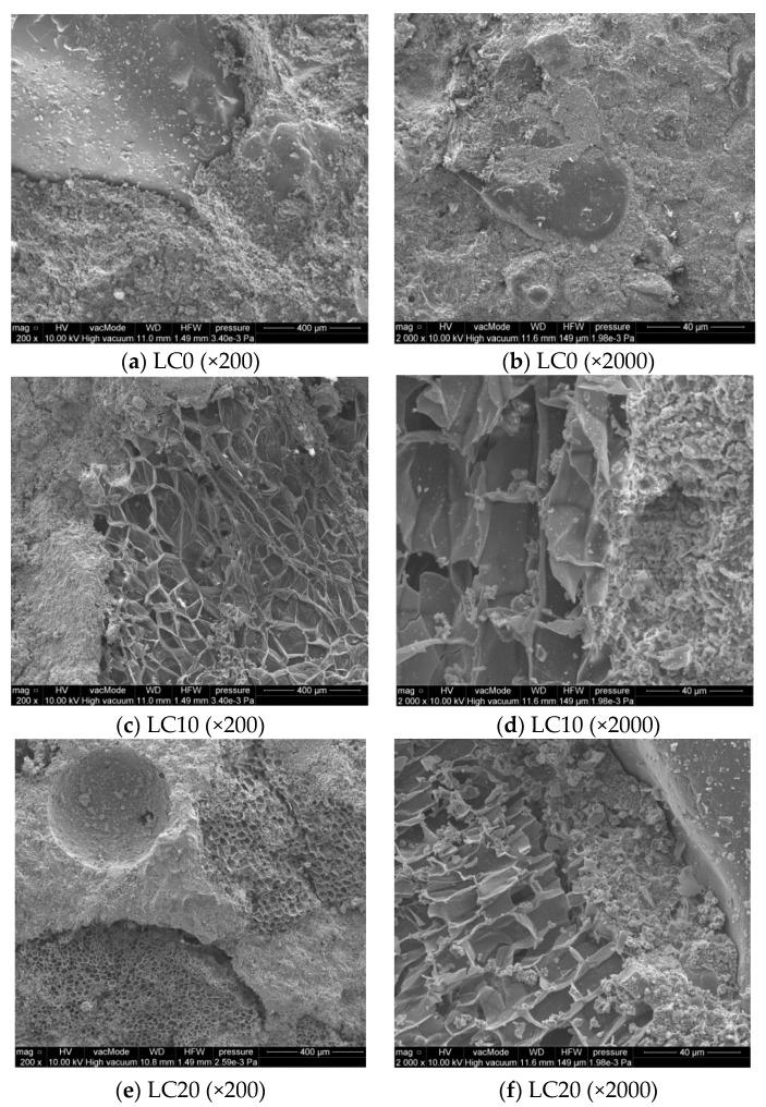 https://cdn.ncbi.nlm.nih.gov/pmc/blobs/7f36/7795289/3c6a28772004/materials-14-00101-g007.jpg
