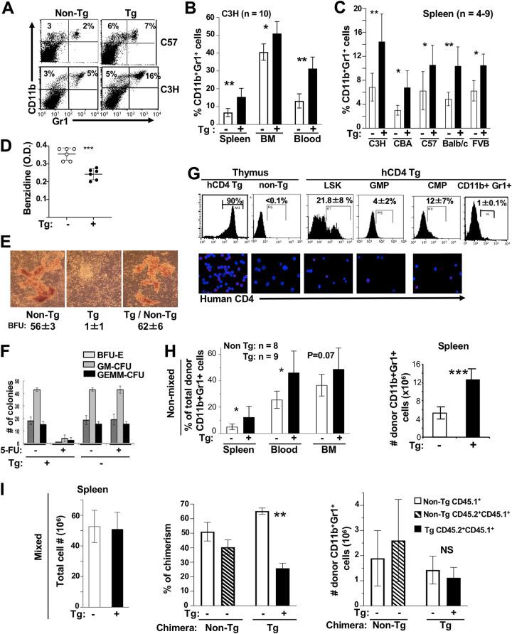 https://cdn.ncbi.nlm.nih.gov/pmc/blobs/7f3a/8354241/2daeba26a4be/jvi.00471-21-f0006.jpg