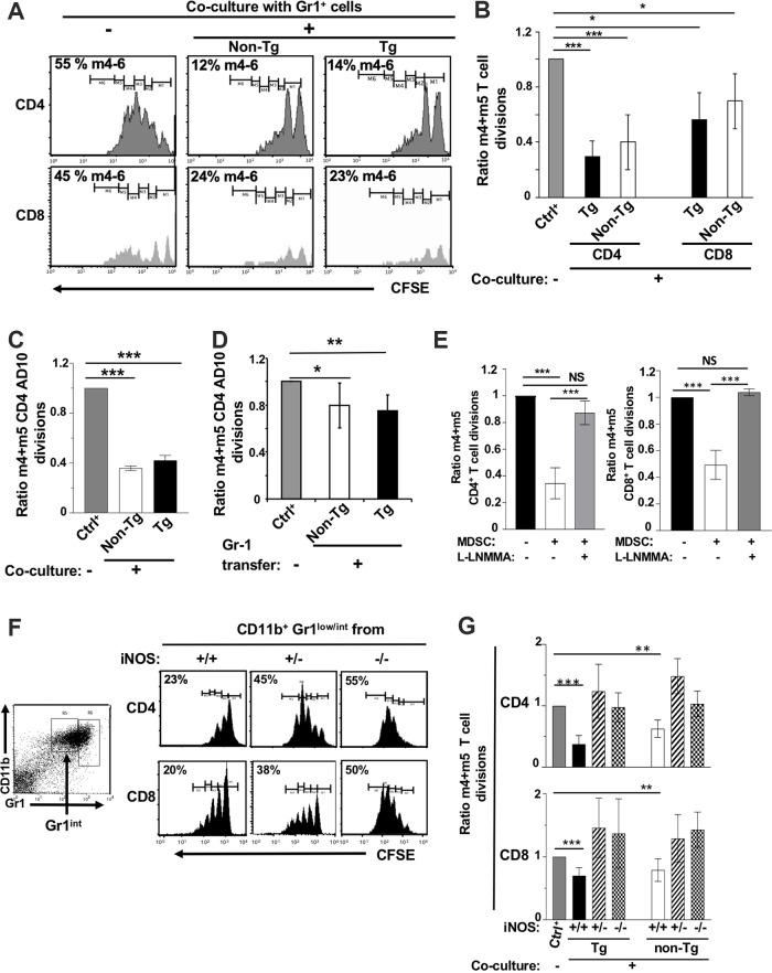 https://cdn.ncbi.nlm.nih.gov/pmc/blobs/7f3a/8354241/ea39cf15e9a1/jvi.00471-21-f0003.jpg