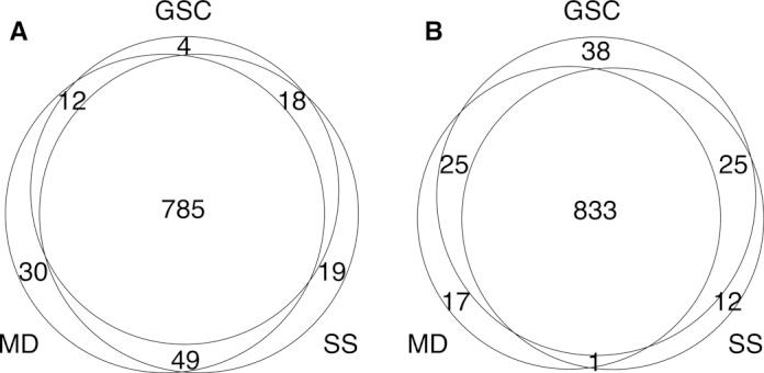 https://cdn.ncbi.nlm.nih.gov/pmc/blobs/7f3b/4705681/64e3233008c7/gkv808fig3.jpg