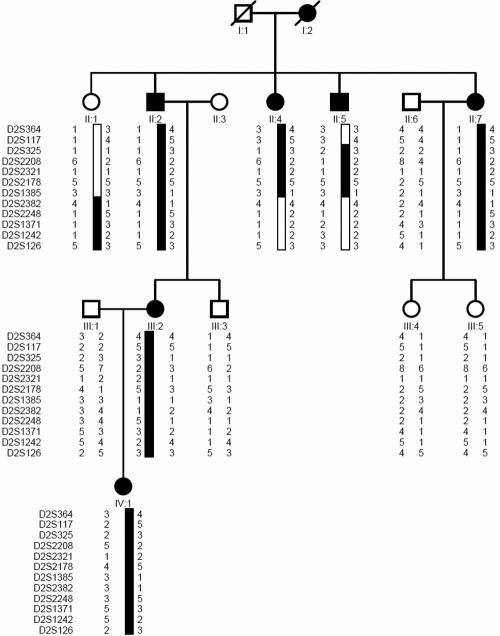 https://cdn.ncbi.nlm.nih.gov/pmc/blobs/7f3c/2635849/ba2031a432df/mv-v15-276-f1.jpg