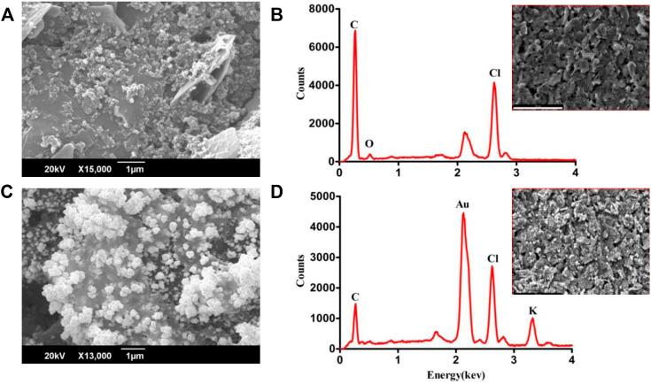https://cdn.ncbi.nlm.nih.gov/pmc/blobs/7f3c/9720118/2b6fffe147b6/fchem-10-1046930-g002.jpg