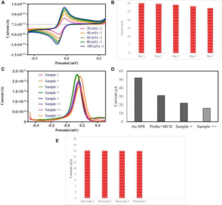 https://cdn.ncbi.nlm.nih.gov/pmc/blobs/7f3c/9720118/3bea126376cc/fchem-10-1046930-g005.jpg