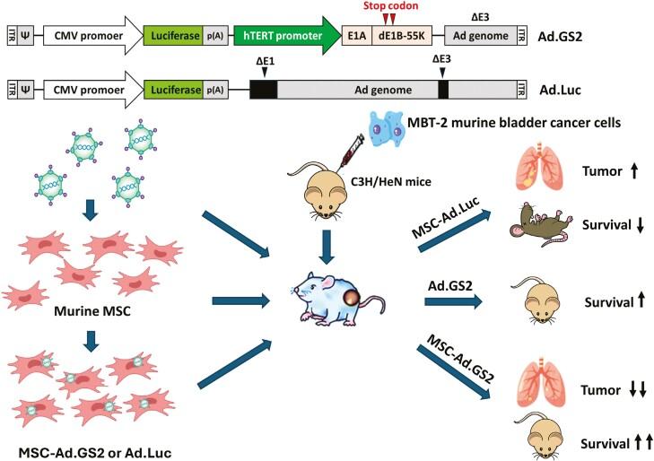 https://cdn.ncbi.nlm.nih.gov/pmc/blobs/7f40/11328937/232a872220bd/szae039_fig7.jpg