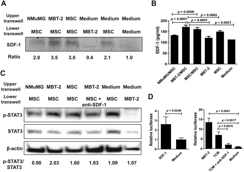 https://cdn.ncbi.nlm.nih.gov/pmc/blobs/7f40/11328937/25c993fc4a81/szae039_fig1.jpg