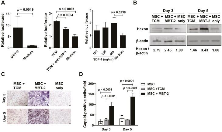 https://cdn.ncbi.nlm.nih.gov/pmc/blobs/7f40/11328937/519a2800e296/szae039_fig3.jpg