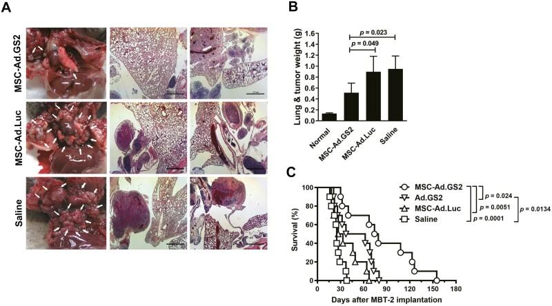 https://cdn.ncbi.nlm.nih.gov/pmc/blobs/7f40/11328937/6efb17ec0fad/szae039_fig6.jpg