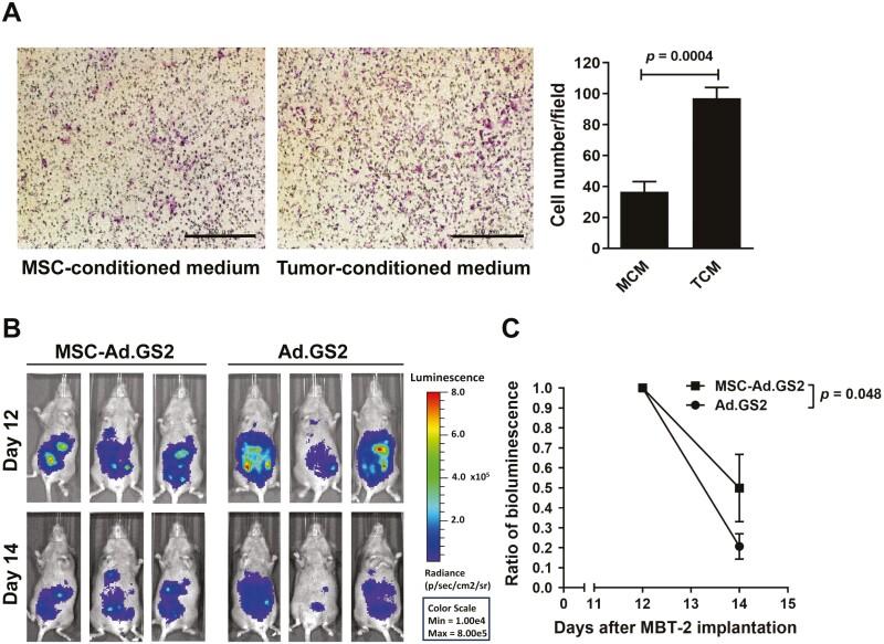 https://cdn.ncbi.nlm.nih.gov/pmc/blobs/7f40/11328937/88a91e5f7790/szae039_fig5.jpg