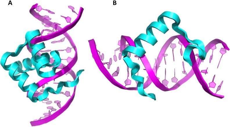 https://cdn.ncbi.nlm.nih.gov/pmc/blobs/7f40/6128526/64a781a777e2/pone.0202989.g005.jpg