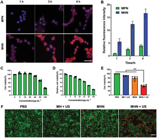 https://cdn.ncbi.nlm.nih.gov/pmc/blobs/7f41/10502831/05ebc73b2c17/ADVS-10-2302278-g008.jpg
