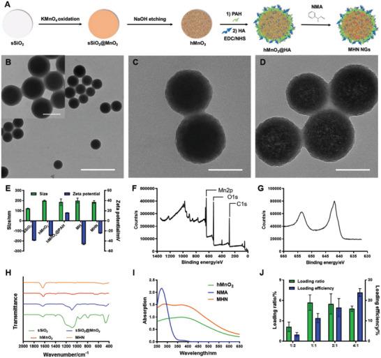 https://cdn.ncbi.nlm.nih.gov/pmc/blobs/7f41/10502831/1bad8d523bff/ADVS-10-2302278-g009.jpg