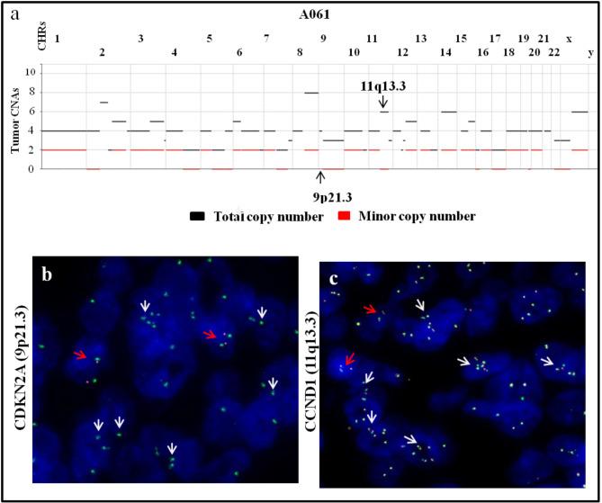 https://cdn.ncbi.nlm.nih.gov/pmc/blobs/7f42/11799426/976ce472658b/41598_2025_88494_Fig5_HTML.jpg