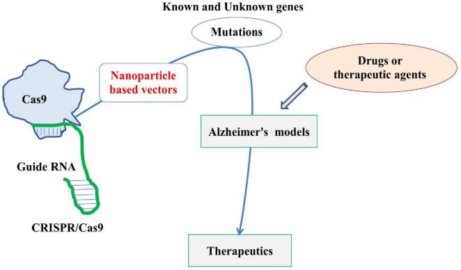 https://cdn.ncbi.nlm.nih.gov/pmc/blobs/7f44/12009953/eec036528ccd/fncel-19-1578138-g005.jpg