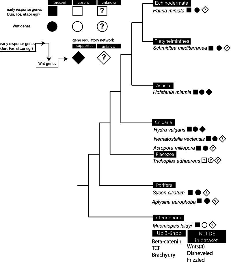 https://cdn.ncbi.nlm.nih.gov/pmc/blobs/7f45/10876535/cccd597566aa/42003_2024_5901_Fig6_HTML.jpg