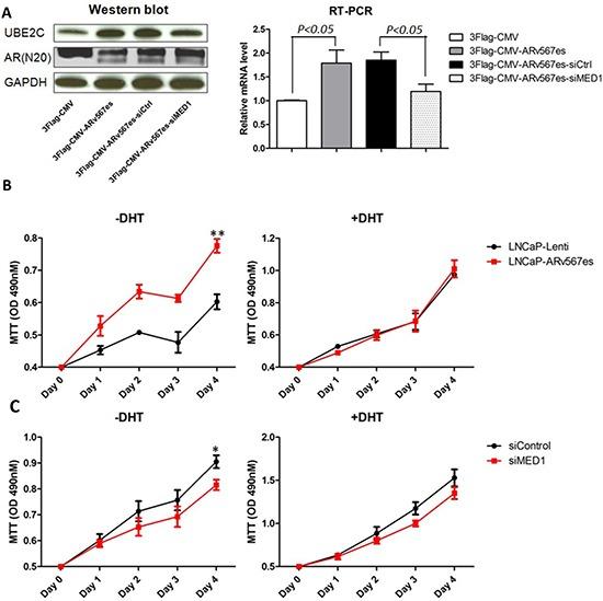 https://cdn.ncbi.nlm.nih.gov/pmc/blobs/7f45/4381595/906539c478b4/oncotarget-06-288-g001.jpg