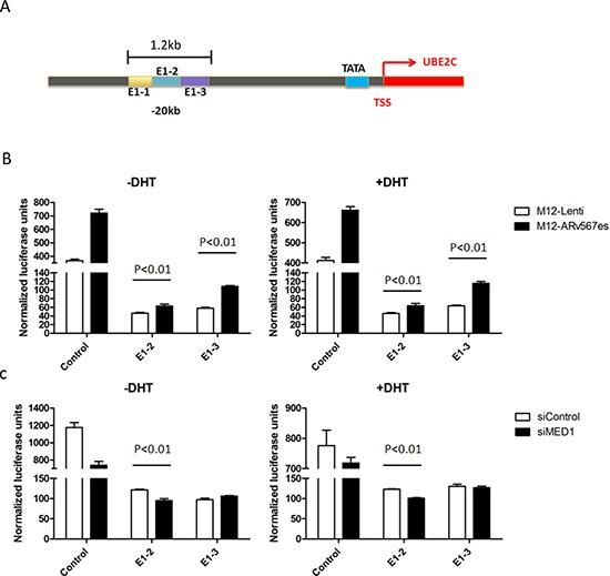 https://cdn.ncbi.nlm.nih.gov/pmc/blobs/7f45/4381595/b4e3f4d3d261/oncotarget-06-288-g004.jpg
