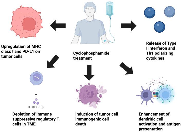 https://cdn.ncbi.nlm.nih.gov/pmc/blobs/7f46/12249703/c413a09ee37c/ijms-26-06440-g002.jpg