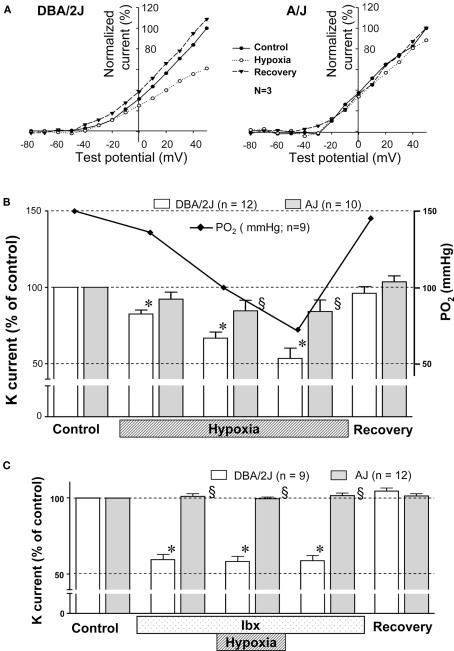 https://cdn.ncbi.nlm.nih.gov/pmc/blobs/7f47/3190176/b592f188bf96/fncel-05-00019-g004.jpg