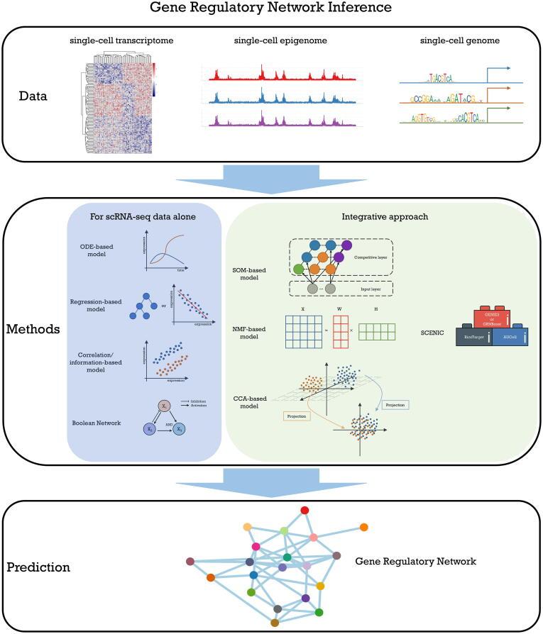 https://cdn.ncbi.nlm.nih.gov/pmc/blobs/7f47/7385034/9cff480e9ee4/gr2.jpg