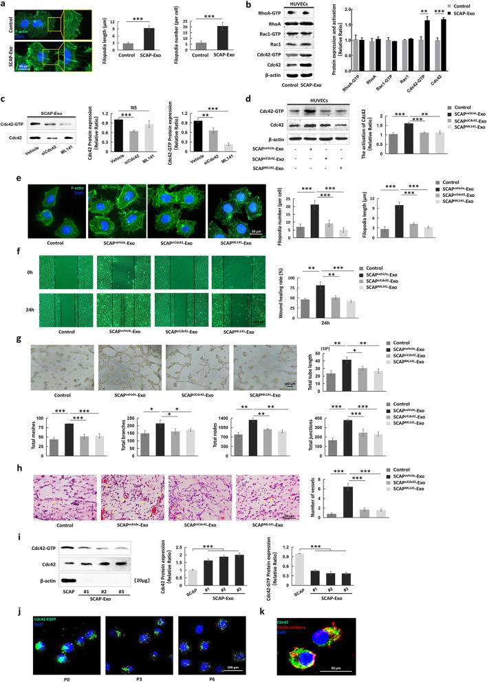https://cdn.ncbi.nlm.nih.gov/pmc/blobs/7f47/7821694/3f806fc08754/13287_2021_2151_Fig4_HTML.jpg
