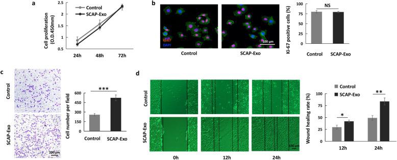 https://cdn.ncbi.nlm.nih.gov/pmc/blobs/7f47/7821694/84fc981ced2f/13287_2021_2151_Fig3_HTML.jpg