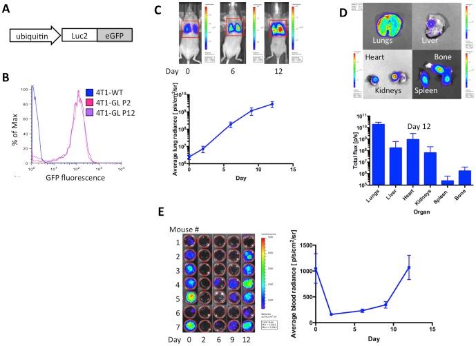 https://cdn.ncbi.nlm.nih.gov/pmc/blobs/7f48/3908955/13ebf0bdb715/pone.0086759.g001.jpg