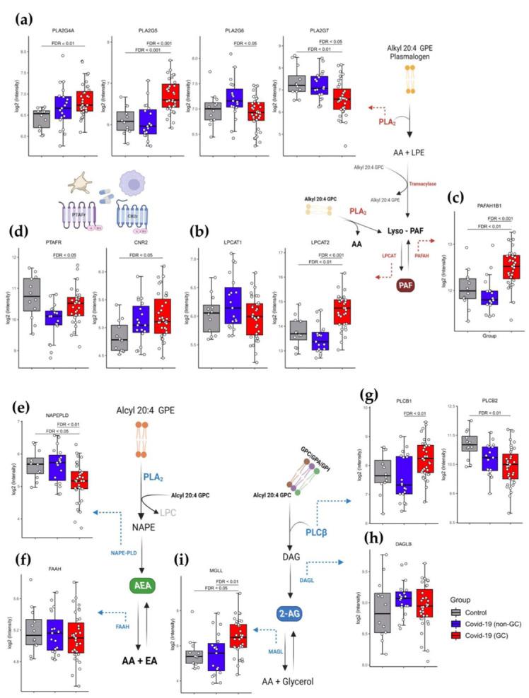 https://cdn.ncbi.nlm.nih.gov/pmc/blobs/7f48/9959303/82b745f63455/viruses-15-00573-g003.jpg