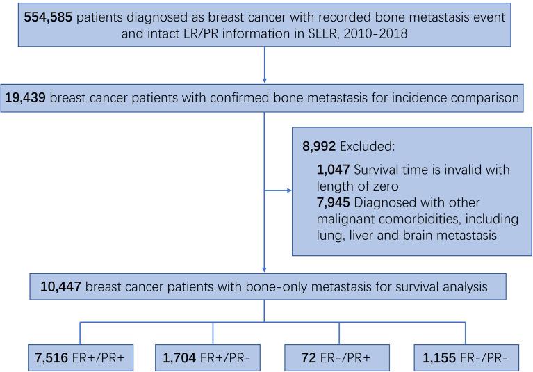 https://cdn.ncbi.nlm.nih.gov/pmc/blobs/7f49/9459168/0bcca6582665/fonc-12-977226-g001.jpg