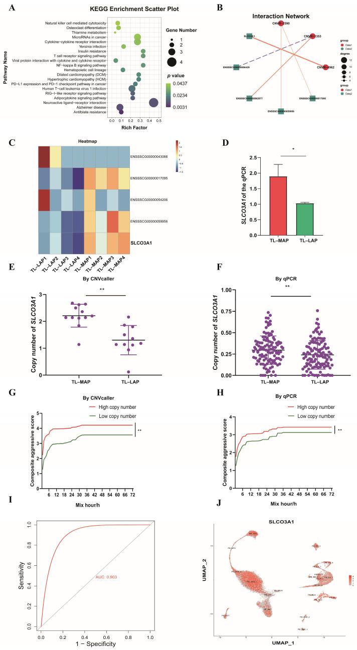 https://cdn.ncbi.nlm.nih.gov/pmc/blobs/7f4a/10526945/4198dfc4cab1/biomolecules-13-01381-g006.jpg