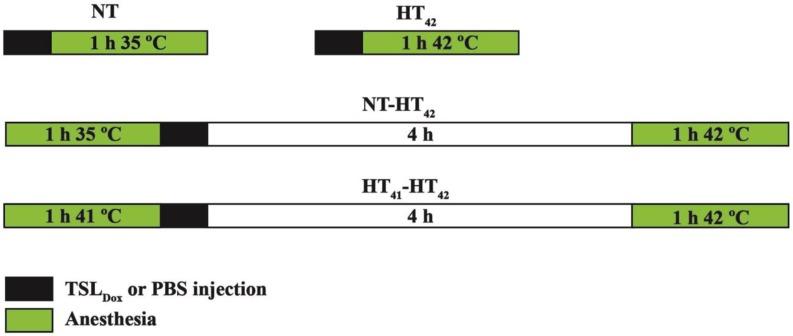 https://cdn.ncbi.nlm.nih.gov/pmc/blobs/7f4b/4955068/375df3962f09/thnov06p1717g002.jpg