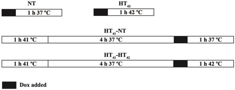 https://cdn.ncbi.nlm.nih.gov/pmc/blobs/7f4b/4955068/5cdf2f4053d1/thnov06p1717g001.jpg