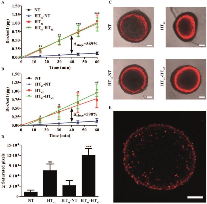 https://cdn.ncbi.nlm.nih.gov/pmc/blobs/7f4b/4955068/bf23545bd60f/thnov06p1717g005.jpg