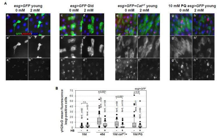 https://cdn.ncbi.nlm.nih.gov/pmc/blobs/7f4b/7278929/d90d3d841eb2/ijms-21-03497-g002.jpg