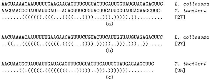 https://cdn.ncbi.nlm.nih.gov/pmc/blobs/7f4b/7996734/85ac2c1d4dd8/genes-12-00347-g002.jpg