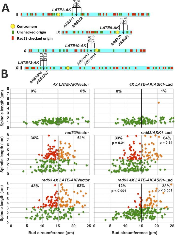 https://cdn.ncbi.nlm.nih.gov/pmc/blobs/7f4d/6789157/52b39f156e03/mbc-30-2771-g009.jpg
