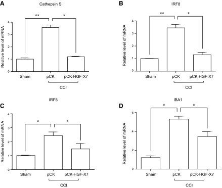 https://cdn.ncbi.nlm.nih.gov/pmc/blobs/7f4e/6113864/919fe3cf0a24/fj.201800476Rf9.jpg