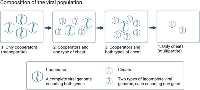 https://cdn.ncbi.nlm.nih.gov/pmc/blobs/7f50/10159356/a49226e0f75b/pbio.3002092.g001.jpg