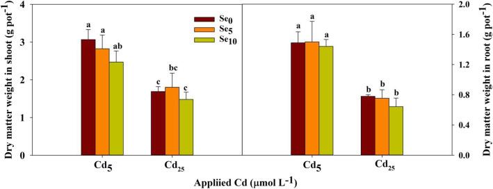 https://cdn.ncbi.nlm.nih.gov/pmc/blobs/7f50/7722431/aa17df019044/12870_2020_2763_Fig1_HTML.jpg