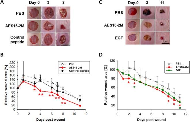 https://cdn.ncbi.nlm.nih.gov/pmc/blobs/7f51/6158248/71604de0e6bb/41598_2018_32851_Fig1_HTML.jpg